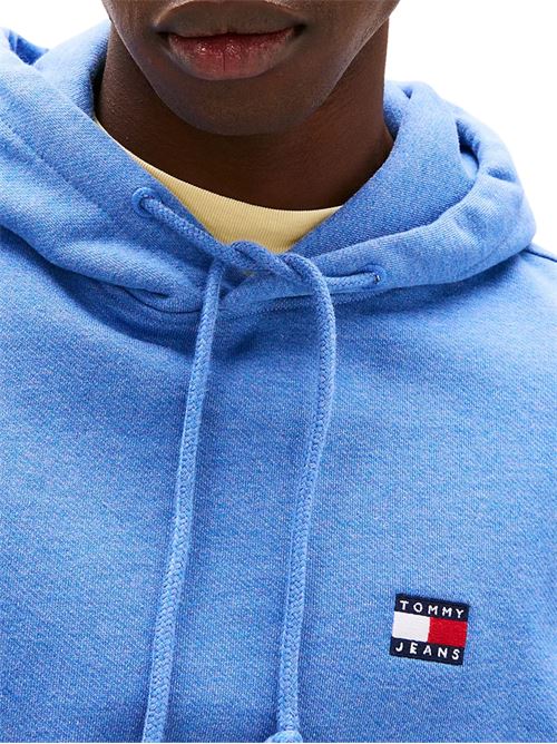Felpa azzurra in cotone Tommy Jeans | DM0DM20258DSF